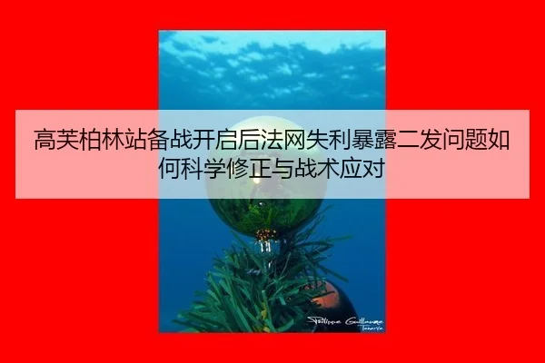 gao-fu-bo-lin-zhan-bei-zhan-kai-qi-hou-fa-wang-shi-li-bao-lu-er-fa-wen-ti-ru-he-ke-xue-xiu-zheng-yu-zhan-shu-ying-dui-2-768.jpg